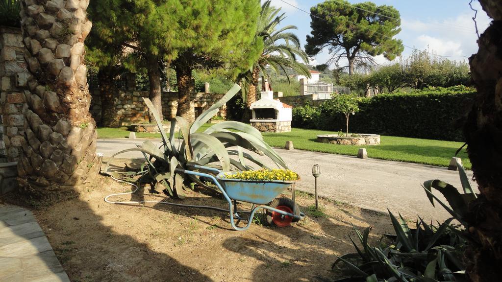 Melrose Aparthotel Skopelos Buitenkant foto